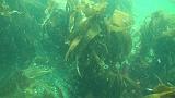 2011-06-15 16-58-55 UK_02